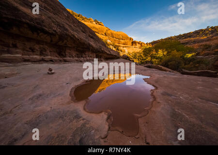 Temporäre Pfütze, die durch die jüngsten Unwetter geschaffen, McLoyd Canyon unter Mond Haus Ruine auf Cedar Mesa, einst Teil der Bären Ohren National Monument, Utah Stockfoto