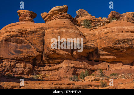 Blick über McLoyd Canyon in Richtung Mond Haus Ruine auf Cedar Mesa, durch den späten Ancestral Puebloans und einst Teil der Bären Ohren National Monument gebaut Stockfoto