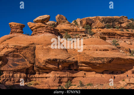 Blick über McLoyd Canyon in Richtung Mond Haus Ruine auf Cedar Mesa, durch den späten Ancestral Puebloans und einst Teil der Bären Ohren National Monument gebaut Stockfoto