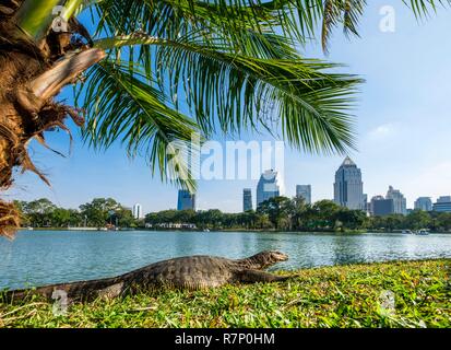 Thailand, Bangkok, Pathum Wan district, Lumphini Park erstellt in den 1920er Jahren von König Rama VI. Im Herzen des wichtigsten Geschäftsviertels, Waran Stockfoto