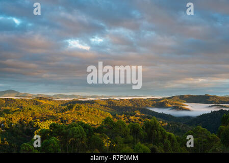 Nebel im Brasilianischen südöstlichen Atlantik Wald Stockfoto