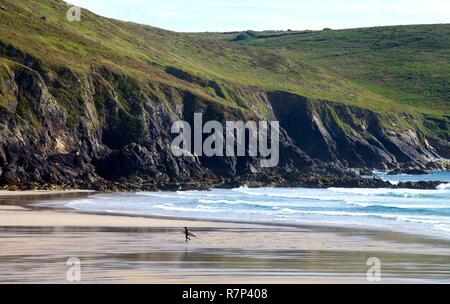 Frankreich, Finistere, Iroise, Cap Sizun, Plogoff, Pointe du Raz, Baie des Trepasses Stockfoto