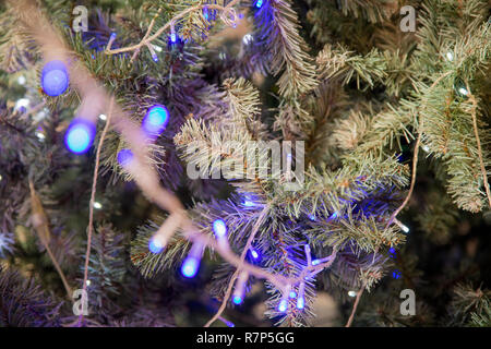 Weihnachten Hintergrund mit Weihnachtsgirlande. Vorbereitung für den Urlaub. verkleiden sich die Girlande auf dem Weihnachtsbaum. blaue Lichter für die Tanne. Dekoration Haus für Urlaub. Neues Jahr Nacht. Stockfoto