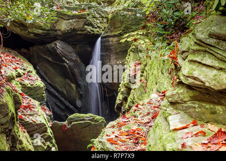 Duggers Creek Falls Wasserfall in einem schmalen felsigen Schlucht in die North Carolina Berge im Herbst in der Nähe von Linville Stockfoto