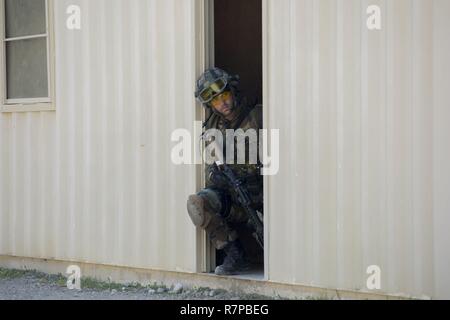 Royal Dutch Marines mit 1 Troop, 32 Streifzüge Squadron, während ein städtischer Betrieb Raid auf Camp Lejeune, N.C., 21. März 2017. Die Royal Dutch Marines zusammen mit US-Marines als Teil einer jährlichen bilateralen Training übung für die Beziehungen und die Interoperabilität stärken. Stockfoto