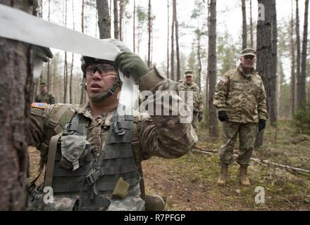 Grafenwöhr, Deutschland - Sehr geehrte Besucher aus der Bundeswehr Operative medizinische Unterstützung Befehl und 21 Theater Support Command eine militärische Demonstration während einer US-Armee Europa Experten Bereich Medizinische Abzeichen Bewertung in Grafenwöhr, Deutschland beobachtet am 24. März 2017. Etwa 215 Kandidaten aus der US-Armee und zehn europäischen Partner Nationen nahmen an diesem alle zwei Jahre stattfindenden Bewertung in den Hoffnungen des Erzielens der begehrten US-Armee EFMB. Stockfoto