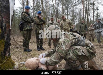 Grafenwöhr, Deutschland - Sehr geehrte Besucher aus der Bundeswehr Operative medizinische Unterstützung Befehl und 21 Theater Support Command beobachten ein Feld medizinische Demonstration während einer US-Armee Soldat bei der US-Armee Europa Experten Bereich Medizinische Abzeichen Bewertung in Grafenwöhr, Deutschland am 24. März 2017. Etwa 215 Kandidaten aus der US-Armee und zehn europäischen Partner Nationen nahmen an diesem alle zwei Jahre stattfindenden Bewertung in den Hoffnungen des Erzielens der begehrten US-Armee EFMB. Stockfoto