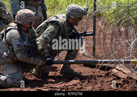 Bekämpfung der Ingenieure zur 29 Brigade Ingenieur Bataillon zugeordnet, 3. Brigade Combat Team, 25 Infanterie Division, Orte Bangalore Torpedos an einem Draht Hindernis auf Schofield Kasernen, Hawaii, am 25. März 2017. Zweck der Ausbildung war ein Kabel Hindernis zu löschen, Soldaten sicher hindurch führen könnte. Stockfoto