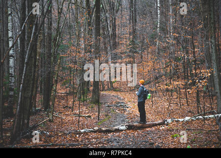 Fallen die Szenen während einer Wanderung in Hunter Mountain im US-Staat New York. Stockfoto