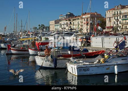 Frankreich, Alpes Maritimes, Cannes, alten Fischer jetzt seine Threads vor einem Goelan im Alten Hafen, mit dem alten Stadtteil Suquet im Hintergrund Stockfoto