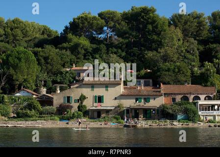 Frankreich, Alpes Maritimes, Cannes, Inseln von Lerins, Insel Sainte Marguerite wirft der Insel Sainte Marguerite am Rande des Wassers und in der Mitte der Kiefern Stockfoto