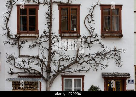 Österreich, Oberösterreich, Salzkammergut, als Weltkulturerbe von der UNESCO, Hallstatt Stadt Stockfoto