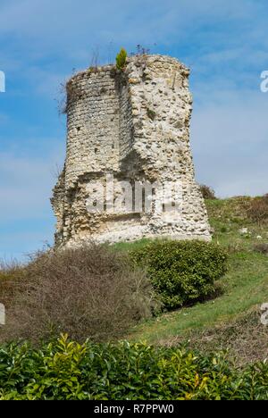 Frankreich, Yvelines, Montchauvet, Dorf der Franzosen, die Ruinen der Dungeon Stockfoto