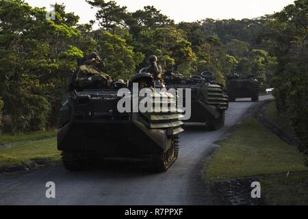 AAV-P7/A1 Assault amphibischen Fahrzeugen mit Echo Co., Bataillon Landung Team, 2nd Battalion, 5th Marines, 31 Marine Expeditionary Unit, Manöver, die Straße runter während der Teilnahme an mechanisierten Raid bei Marine Corps Base Butler, Okinawa, Japan, 27. März 2017. Wie das Marine Corps' nur kontinuierlich vorwärts - eingesetzt, die 31 MEU luft-Boden-Logistik Team bietet eine flexible Kraft, bereit, eine breite Palette von militärischen Operationen auszuführen, von begrenzt zur Bekämpfung der humanitären Hilfsmaßnahmen, der gesamten Indo-Asia Pacific Region. Stockfoto