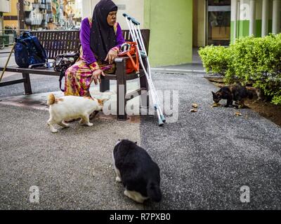 Singapur, Singapur. 11 Dez, 2018. Eine muslimische Frau Feeds die Stray Cats in der Regierung Wohnsiedlung, die Sie in der geylang Nachbarschaft leben. Die geylang Gegend von Singapur, zwischen dem zentralen Geschäftsviertel und dem Flughafen Changi, war ursprünglich Kokosnuss Plantagen und malayische Dörfer. Während in Singapur Boom der Kokosnuss Plantagen und andere Betriebe aus geschoben wurden und nun wird die Gegend eine Arbeiterklasse Gemeinschaft der malaysischen, indischen und chinesischen Volk. In den 2000er Jahren, Entwickler gentrifying Geylang und neue Wohnsiedlung Entwicklungen wurden gebaut. Credit: Jack Kurtz/ZUMA Draht/Alamy leben Nachrichten Stockfoto