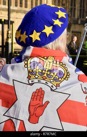 11. Dezember, 2018. Bleiben Unterstützer am Tag, welche für die sinnvolle Abstimmung Brexit festgelegt worden war, die Abstimmung hat nun verschoben worden. Houses of Parliament, London.UK Credit: michael Melia/Alamy leben Nachrichten Stockfoto