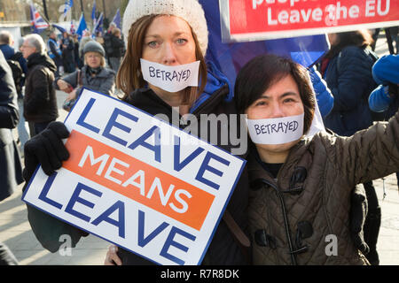 London UK 11 Dez 2018 Pro Brexit Demonstranten mit Plakaten außerhalb der Häuser des Parlaments demonstrieren. Credit: Thabo Jaiyesimi/Alamy leben Nachrichten Stockfoto