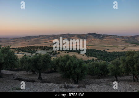 Hügel in der Nähe von Meknes und Fes. Sunset Landschaft. Marokko Stockfoto