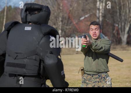 Us-Marine Lance Cpl. Xavier Solórzano, eine Cyber-Netzbetreiber, führt ein Bohrgerät während nicht-tödlicher Waffen Ausbildung bei Vaernes Garnison, 31. März 2017. Marine Drehkraft Europa 17,1 (MRF-E) durchgeführt NLW training Kraft Bereitschaft, während in Norwegen eingesetzt. Stockfoto