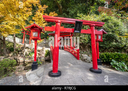 Beppu, Oita, Japan, November 8, 2018: Japanische Rote hölzerne Torii in der Nähe von UMI JIGOKU (Meer Hölle) Teich im Herbst, einer der berühmten natürlichen heißen spri Stockfoto