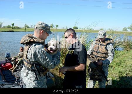 Louisiana Armee Gardisten aus der 225th Engineer Brigade Praxis Tierrettung Verfahren während des Staates Louisiana Disaster Response Übung an der Motorhaube Carre Abflußkanal in St. Charles Parish, April 1, 2017. Die Fähigkeit der Louisiana National Guard schnell auf Notfälle reagieren zu können Leben retten und den Schutz des Eigentums. Durch die Durchführung von simulierten Luft, Wasser und Boden von Such- und Rettungsaktionen, die lang ist es, sicherzustellen, dass ihre Soldaten und Piloten bereit sind, sich zu bewegen und führen im Katastrophenfall. Dieses Disaster Response Übung ermöglicht auch die lang weitere r Stockfoto