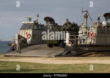 Marines mit Waffen Co., Bataillon Landung Team, 2nd Battalion, 5th Marines 31 Marine Expeditionary Unit eine LAV-25 leicht gepanzerten Fahrzeug aus fährt ein Marine Landing Craft, Air-Cushioned Hovercraft bei Kin Blue, Okinawa, Japan, April 6, 2017. Die 31. MEU ausgelagert werden Ausrüstung und Fahrzeuge, der regelmäßig geplanten Frühjahr Bereitstellung abschließen. Wie das Marine Corps' nur kontinuierlich vorwärts - eingesetzt, die 31 MEU luft-Boden-Logistik Team bietet eine flexible Kraft, bereit, eine breite Palette von militärischen Operationen auszuführen, von begrenzt zur Bekämpfung der humanitären Hilfsmaßnahmen, Stockfoto