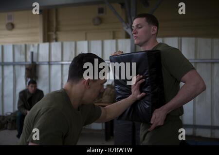 Us Marine Cpl. Eduardo E. Duran-Espino Streiks Cpl. David Hestera jr., gewehrschützen mit Marine Drehkraft Europa 17,1 (MRF-E), während Krav margra in Israel, 22. März 2017. MRF-E arbeitet mit israelischen Kräfte für die Entwicklung der Interoperabilität erforderlich, für die Aufrechterhaltung und Verbesserung der Israels Verteidigungsfähigkeit. Stockfoto