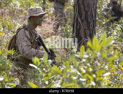 Pfc. Erich B. Vlaar führt eine Fußpatrouille während einer Scout Sniper Screener in Camp Lejeune, N.C., April 3, 2017. Der screener getestet die Marines' Möglichkeit, grundlegende Infanterie Aufgaben erfüllen zu den qualifiziertesten Kandidaten für den Scout Sniper Basic Kurs zu finden. Vlaar ist eine grundlegende Rifleman mit 2Nd Battalion, 14th Marine Regiment, 2nd Marine Division. Stockfoto