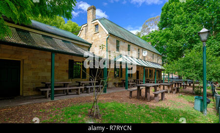 Drei Pferde im Schatten in einem Feld auf dem Great Northern Road zwischen Wiseman's Ferry und Bucketty, Yengo National Park, NSW, Australien Stockfoto