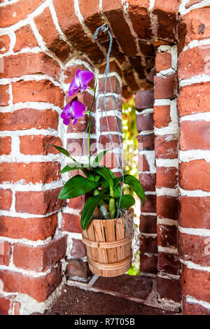 Key West, USA Brick abstrakt hintergrund Festung Fort mit Fenster, Martello Tower mit niemand, Architektur in Florida, Purple Orchid Flower Pot Stockfoto