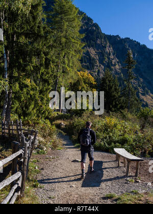 Wanderer, Leiter Alm, Algund bei Meran, Region Süd Tyrol-Bolzano, Italien, Europa Stockfoto