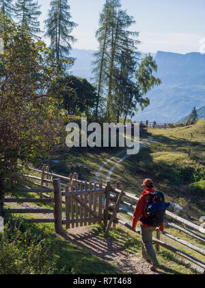 Wanderer, Leiter Alm, Algund bei Meran, Region Süd Tyrol-Bolzano, Italien, Europa Stockfoto