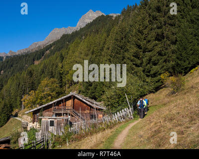 Wanderer, Leiter Alm, Algund bei Meran, Region Süd Tyrol-Bolzano, Italien, Europa Stockfoto