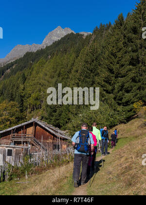 Wanderer, Leiter Alm, Algund bei Meran, Region Süd Tyrol-Bolzano, Italien, Europa Stockfoto