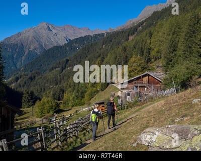 Wanderer, Leiter Alm, Algund bei Meran, Region Süd Tyrol-Bolzano, Italien, Europa Stockfoto