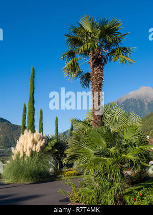 Garten, Nutzhof Algund bei Meran, Region Süd Tyrol-Bolzano, Italien, Europa Stockfoto