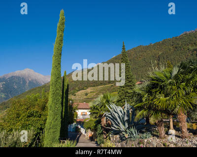 Garten, Nutzhof Algund bei Meran, Region Süd Tyrol-Bolzano, Italien, Europa Stockfoto