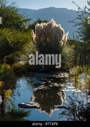 Garten, Nutzhof Algund bei Meran, Region Süd Tyrol-Bolzano, Italien, Europa Stockfoto