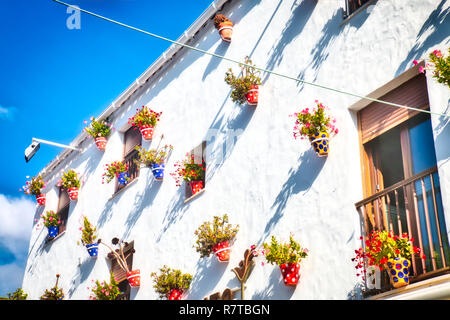 Typisch andalusischen Haus Fassade, voll der Töpfe mit Blumen, in Conil de la Frontera, einer schönen und touristischen Dorf in der Provinz Cadiz, Andalusien Stockfoto