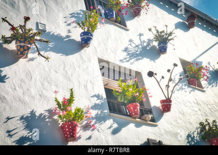 Typisch andalusischen Haus Fassade, voll der Töpfe mit Blumen, in Conil de la Frontera, einer schönen und touristischen Dorf in der Provinz Cadiz, Andalusien Stockfoto