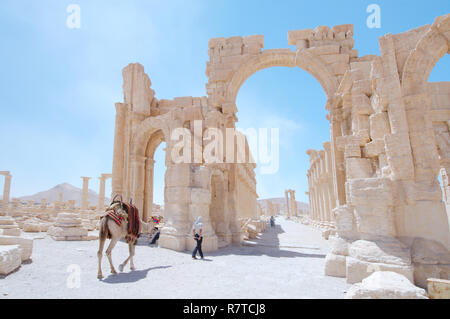 Die Ruinen der antiken Stadt Palmyra Palmyra, Tadmur, Palmyra, Homs Governatorat, Syrien Stockfoto