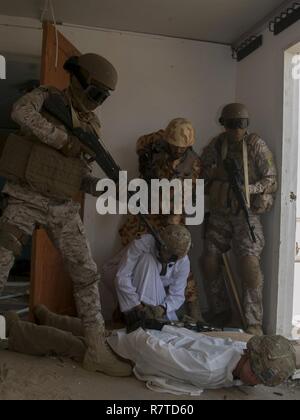 Mitglieder eines Teams von Special Operations Forces halten mutmaßliche "Terroristen" an der Waffengewalt, während die anderen Mitglieder der Mannschaft weiterhin Clearing das Gebäude. Soldaten von Unternehmen B, 3rd Battalion, 8th Cavalry Regiment, 3. gepanzerte Brigade Combat Team, 1.Kavallerie Division spielte die gegnerische Streitmacht für eine gemeinsame Übung, namens Eagle lösen, zwischen US Special Operations Forces und SOF Elemente aus Katar, Kuwait, Saudi-Arabien und den Vereinigten Arabischen Emiraten. Stockfoto