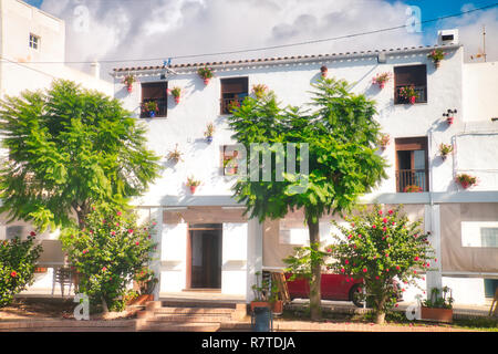 Typisch andalusischen Haus Fassade, voll der Töpfe mit Blumen, in Conil de la Frontera, einer schönen und touristischen Dorf in der Provinz Cadiz, Andal Stockfoto