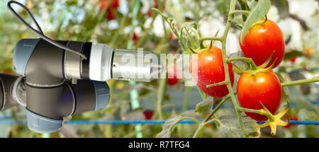 Intelligente Roboter in der Landwirtschaft futuristisches Konzept, Roboter Landwirte (Automatisierung) müssen programmiert werden in der Vertikalen oder indoor Farm für die Erhöhung des eff zu arbeiten Stockfoto