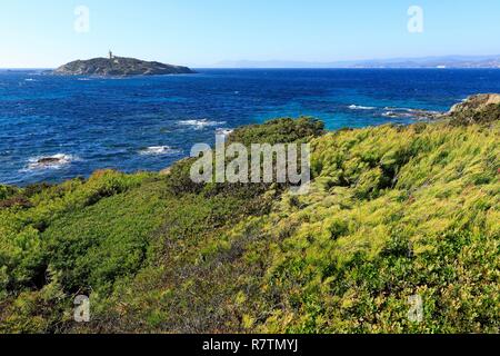 Frankreich, Var, Six Fours Strände, Archipel des Embiez, La Tour Fondue Insel, Grand Rouveau Insel im Hintergrund Stockfoto