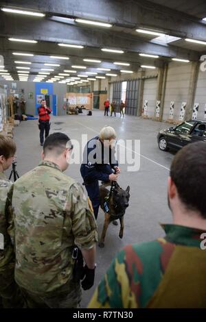 Die belgische Polizei Inspektor demonstriert Crowd Control mit ihrem Hund 007 US-Soldaten mit der United States Army Garrison Benelux-Brussels Militär Polizei und Soldaten der Belgischen Landstreitkräfte "ISTAR (Intel, Überwachung, Zielerfassung, Aufklärung) Bataillon, für eine gemeinsame Ausbildung in Leopoldsburg, Belgien, 29. März 2017 zugeordnet. Stockfoto