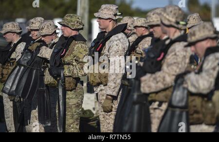 Us-Marines und Fliegern Line up für eine fin Inspektion während der Marine Special Operations School's Individuelle Schulung, 20. März 2017 im Key West, Fla. Zum ersten Mal, US Air Force Special Taktik Flieger drei Monate im ersten Marine Special Operations Command Marine Raider Ausbildung Pipeline ausgegeben, die Bemühungen um gemeinsame Denkweisen über Special Operations Forces zu errichten. Stockfoto