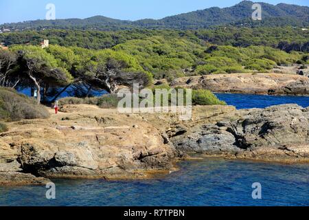 Frankreich, Var, Six Fours Strände, Archipel des Embiez, La Tour Fondue Insel Stockfoto