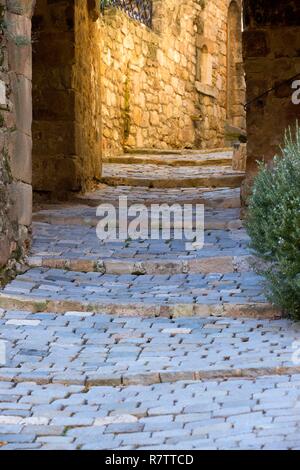 Frankreich, Var, Dracenie, Les Arcs sur Argens, alten mittelalterlichen Dorf Nachbarschaft Le Polyommatus Stockfoto