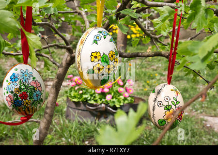 Ostern egss hängt am Zweig im Garten Stockfoto